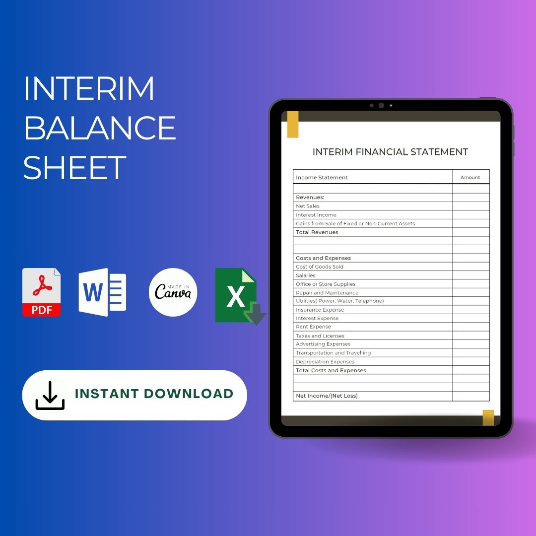 Interim Balance Sheet Example in PDF